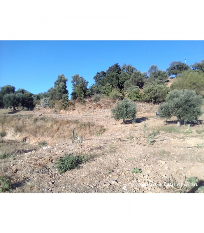 Grundstück nahe Rethymno