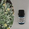 Ätherisches Öl Artemisia-Avistia, 5ml